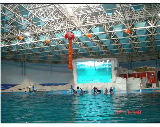 简阳游泳馆螺栓球网架